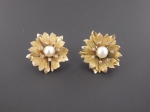 A pair of earrings